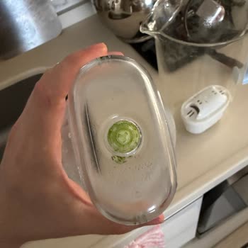 Brita Cam Sürahide Ulaşılamaz Yosunlanma Ve Temizlenememe Sorunu