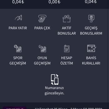 Holiganbet Sahte Sitesiyle 1200 TL Kayıp Ve Bilgi Çalınması