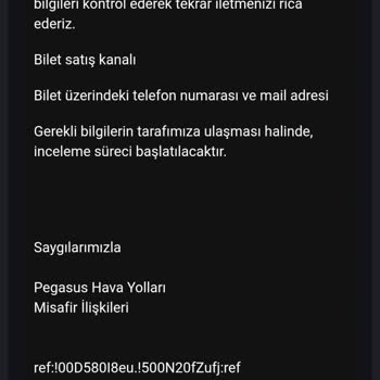 Pegasus Gecikme Tazminatı Ve İş Kaybı Ödemesinin Alınmaması