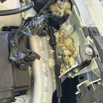 Ford Kuga Sol Çamurluk Ses Yalıtım Süngeri Kısa Sürede İki Kez Yırtıldı