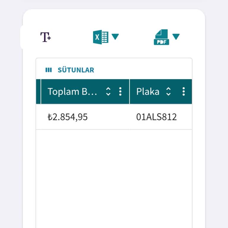 Ödenmiş Trafik Cezası Sistemde Yanlış Gösteriliyor Ve Haksız Gecikme Faizi İptali Talebi
