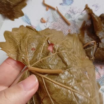 Şok Şubesinde Salamura Yaprakların Kalitesizliği Ve İade Cevapsızlığı