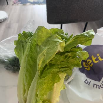 Getir'den Çürük Marul Teslimatı Güveni Sarsıyor