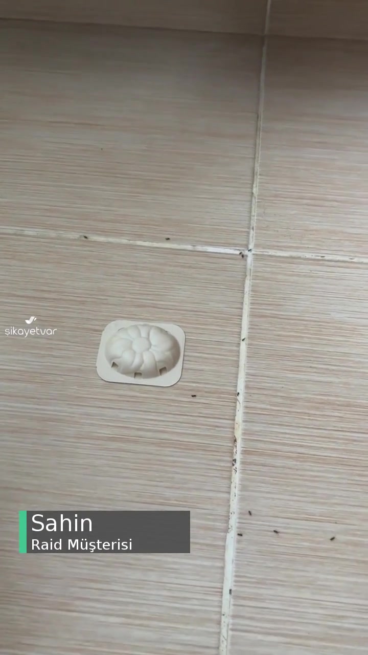 Raid İlaç İşe Yaramıyor! videonun kapak resmi