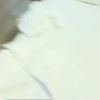 Ağaoğlu My Termal Hüsranı