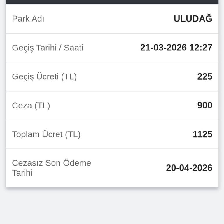 HGS Geçiş Ücreti Görünmemesi Ve Katlanmış Ceza İptali Talebi
