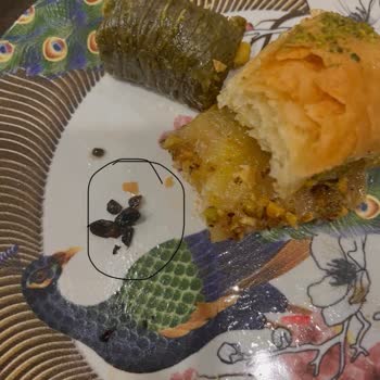 Baklavacı Sadettin Usta Baklavanın İçinden Hamam Böceği Çıkması