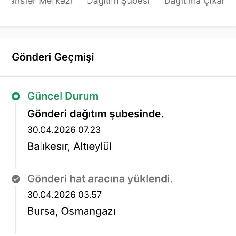 3 Gün Gecikme Ve Kedinin Maması Sorunu Nedeniyle Teslim Taahhüdünün İhlali