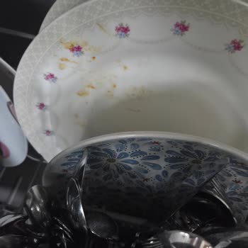Bosch Bulaşık Makinesinin Aşırı Deterjan Kokusu Ve Çizilen Bulaşıklar Nedeniyle Sağlık Sorunları