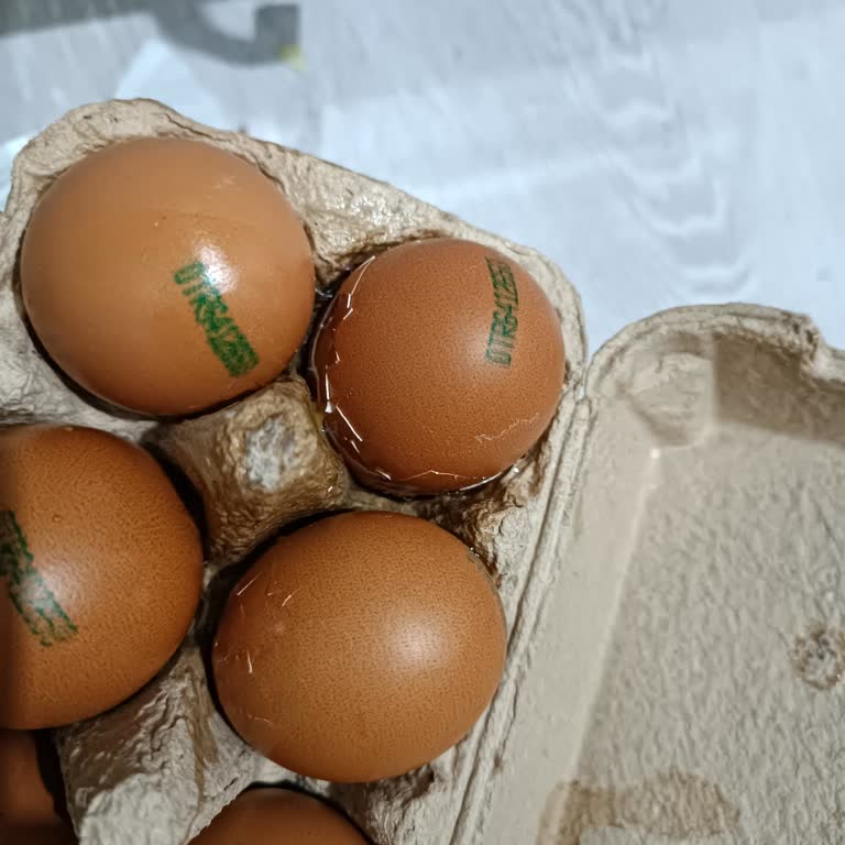Migros Hemen Siparişimde Kırık Yumurtalar, Değişim Talebim Cevapsız