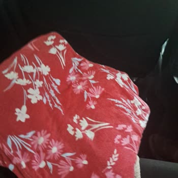 Jiber Pijama Takımlarında Hızlı Renk Solması Ve Mağaza İlgisizliği