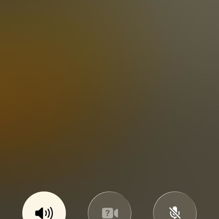 Akıllı Mama Kabının Ölçüm Sorunu Ve Müşteri Hizmeti İhmali
