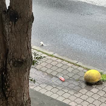 Kurye Hijyen Sorunu, Ürün Dökülmesi Ve Eksik Sipariş