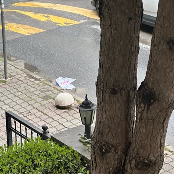 Kurye Hijyen Sorunu, Ürün Dökülmesi Ve Eksik Sipariş