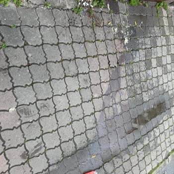 Kurye Hijyen Sorunu, Ürün Dökülmesi Ve Eksik Sipariş