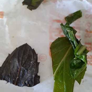 Esen Döner Meydan Hijyen Ve Tazelik Konusunda Ciddi Soru İşareti Uyandıran Bir Durum