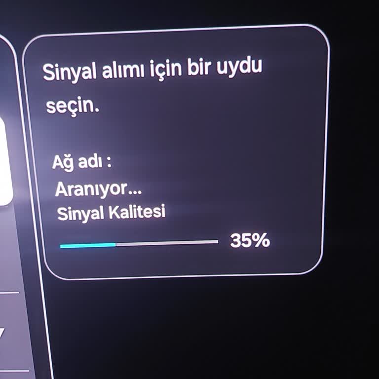 Yeni Samsung 65S90F Model Televizyonumdaki Sinyal Ve İnternet Sorunları