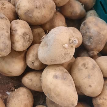 Çakırlar Migros’ta Bozulmuş Sebzeler Ve Fiyat Ayrışıklığı