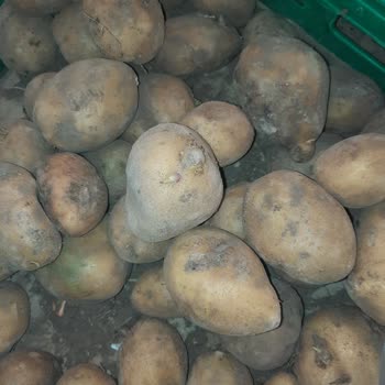 Çakırlar Migros’ta Bozulmuş Sebzeler Ve Fiyat Ayrışıklığı