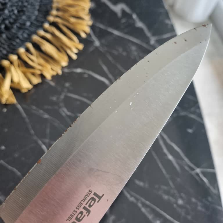 Tefal Paslanmaz Çelik Bıçak Seti İki Yıkamada Paslanarak Sağlık Riski Oluşturuyor
