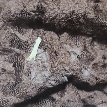 LCW'den Aldığım Giyilmiş Ve Kirli Etek İçin Ücret İadesi