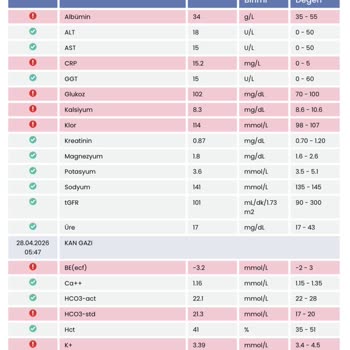 Ryzodeg Kartuşu İnsülin Vermediği İçin Ketoasidoz Koması