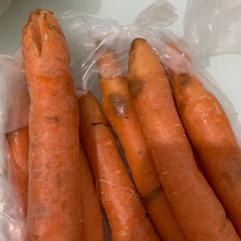 Kapalı Paketli Havuçta Tam Çürüme: Sağlık Riski Ve Denetim İhtiyacı