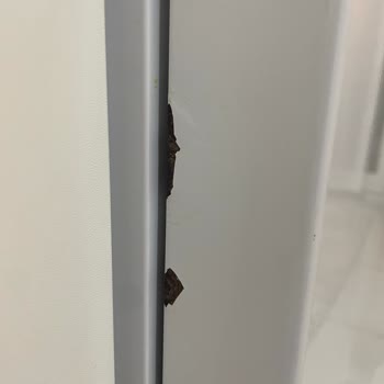 Vestel Bulaşık Makinesi Kapak Kenarında Paslanma Ve Boya Dökülmesi Garanti Onarımı Talebi