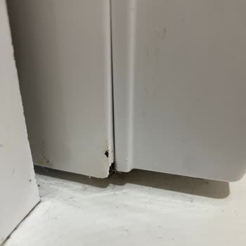 Vestel Bulaşık Makinesi Kapak Kenarında Paslanma Ve Boya Dökülmesi Garanti Onarımı Talebi