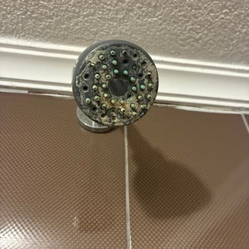 Kötü Hijyen, Kirli Odalar Ve Havuz Nedeniyle Tam İade Talebi