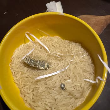 Doyum Basmati Pirinçte Yabancı Maddeler Ve Hijyen Skandalı