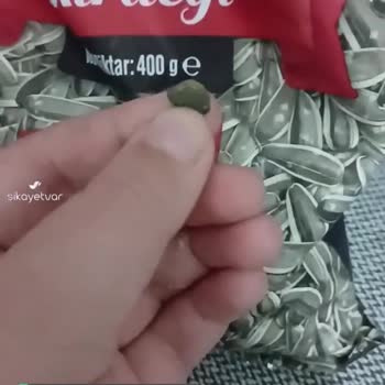 Çerezya Çekirdeğinden Taş Çıktı
