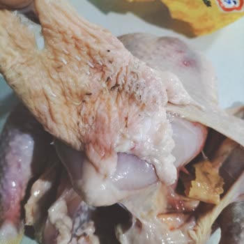 Güvenli Market’te Satılan Er Piliç Tavuk Bozulmuş Ve Yabancı Madde İçeriyor