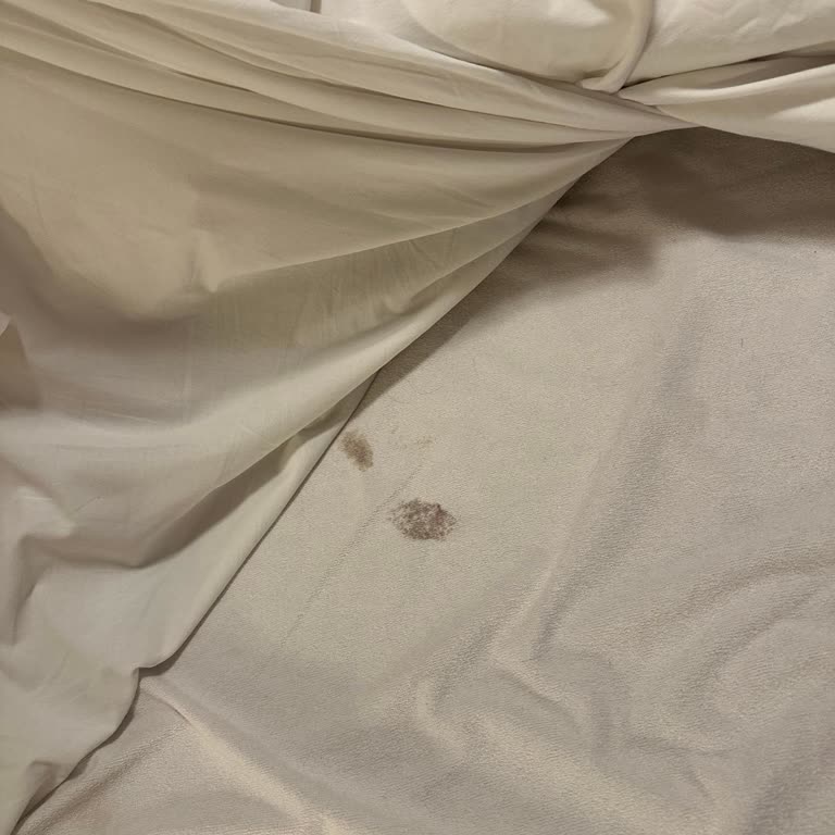 Turkuaz Beach Otel'de Hijyen Sorunları Ve Kaba Personel Yaklaşımı