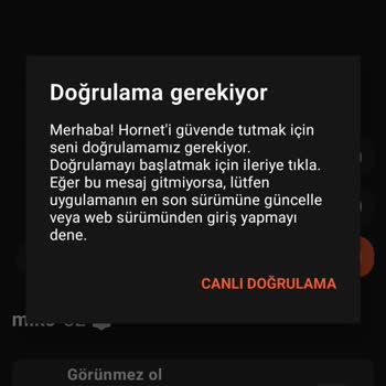 Canlı Doğrulama Hatası Nedeniyle Hornet Hesabına Giriş Sağlanamıyor