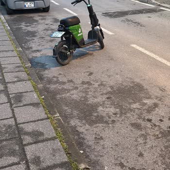 Martı Scooter'ların Park Yerlerini İşgal Etmesi
