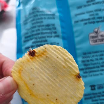 Migros Cipsinde Tüy Benzeri Yabancı Madde: Sağlık Riski
