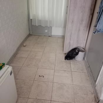 Yanıltıcı Görseller, Kirli Ve Tehlikeli Pansiyon İçin İade Talebi
