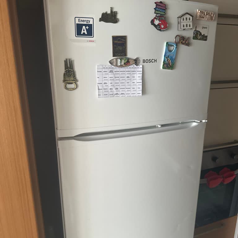 Yetkili Servisin Yanlış Teşhisiyle 30 Bin TL’lik Gereksiz Buzdolabı Alımı