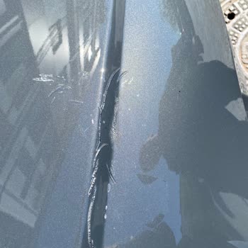 Garanti Süresi İçinde Yırtılan PPF Kaplaması Ücretsiz Değişim Talebi