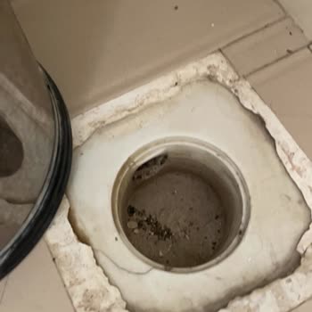 Zeybek Otelinde Hijyen Sorunları Ve İade Talebi