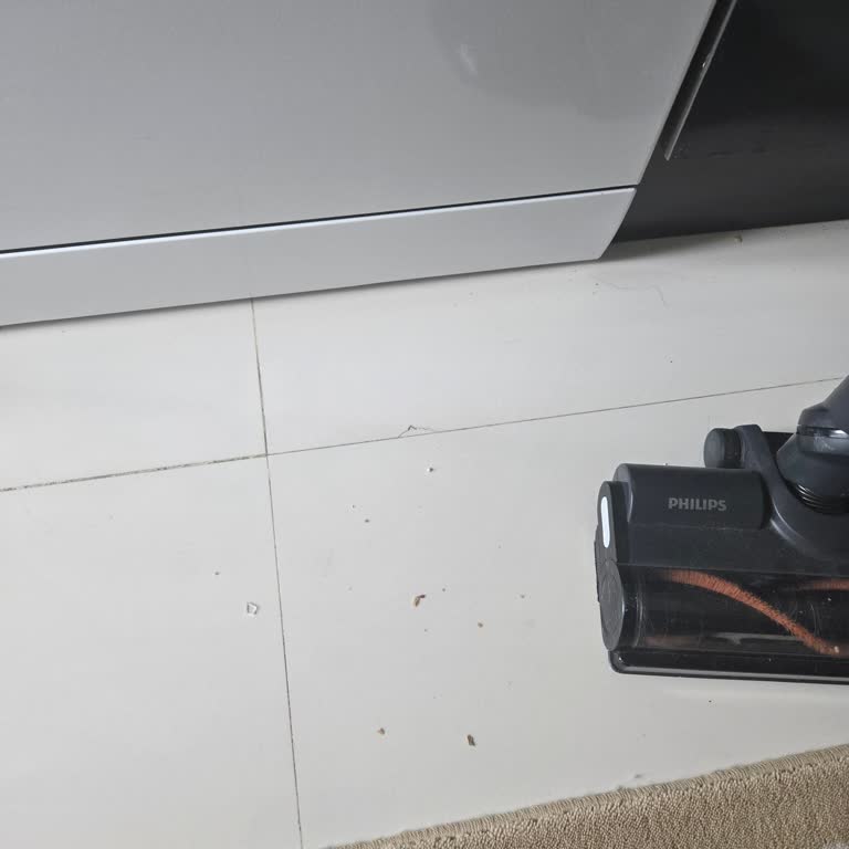 Philips Aqua 6000 Büyük Taneli Kirleri Toplamıyor