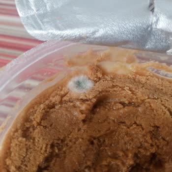 Kremalı Cheesecake’te Küflü Ve Sulu Kreması Sağlık Endişesi Olarak Değişim Talebi