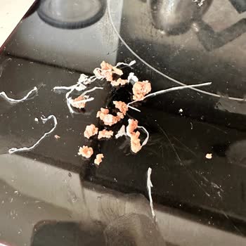 Mopaş Hipermarket Maltepe Şubesinde Kıyma İçinde Streç Film Parçası Ve Personelin Ciddiyetsiz Tutumu
