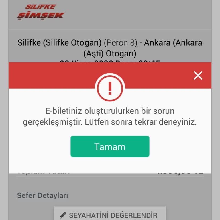 Elektronik Biletim Elime Ulaşmadı, Müşteri Hizmetlerinden Cevap Yok