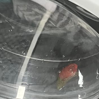 Peros Pratik Çamaşır Kapsülü Yıkamada Erimiyor