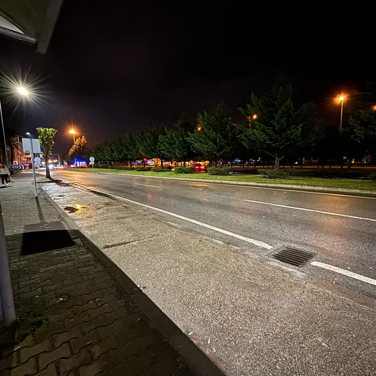Giresun Mavi Baş Şikayeti