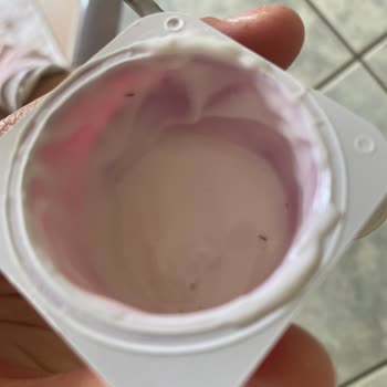 Danone İçimino Ürününde Böcek Parçası Bulunması