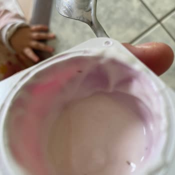 Danone İçimino Ürününde Böcek Parçası Bulunması