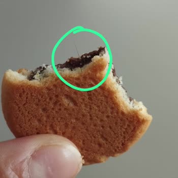 Ambalajlı Biskremde Kıl Bulunması Ve Sağlık Endişeleri